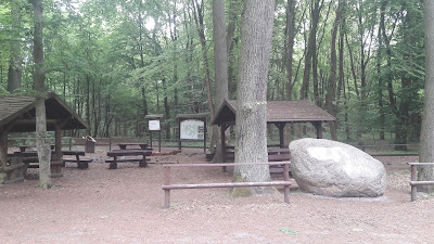Głaz Serce Puszczy — fotografia 3