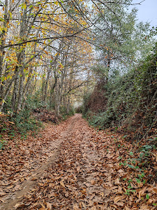 Sendero de los Castañares — fotografia 3