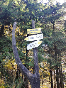Waligóra — fotografia 4