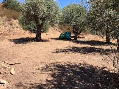 Agricampeggio Gole di Tiberio — fotografia 3