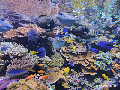 Den Blå Planet — fotografia 3