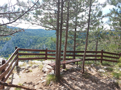 Видиковац Соколарица - Sokolarica Viewpoint — fotografia 3