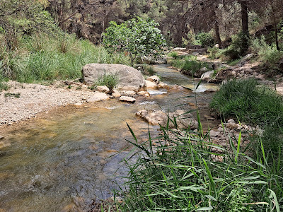 Baños del Somogil — fotografia 3