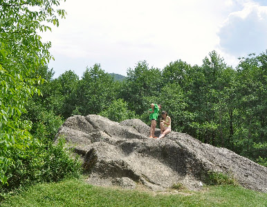 Piatra Broaștei - Calcare cretacice - Monument natural protejat — fotografia 4