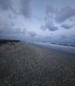 The Wild Beach — fotografia 3