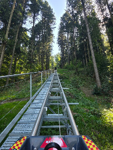 Forest Coaster — fotografia 3