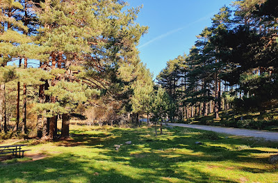 "Las Lagunillas" Recreation Area — fotografia 4
