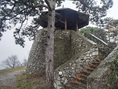 Flóra-pihenő — fotografia 4