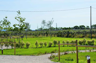 AGRICAMPEGGIO COURT Comotto — fotografia 5