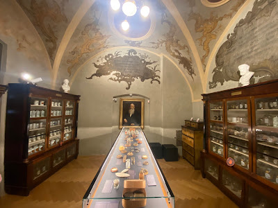 Muzeul Farmaciei — fotografia 3