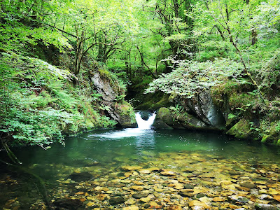 Pesanca recreation area, Piloña, Asturias — fotografia 3