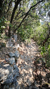 Avlaki East Beach — fotografia 5