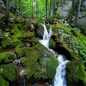 Cascadele Șipotului