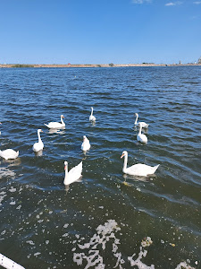 Mangalia Beach — fotografia 5