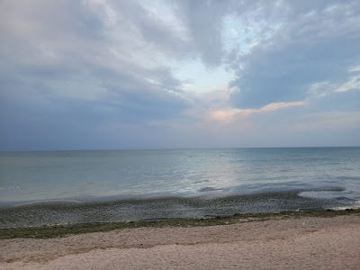 La Rogojini — fotografia 4