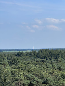 Bosbergtoren — fotografia 5