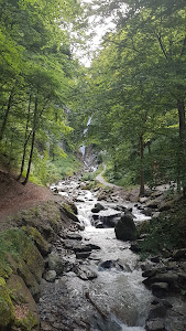 Wasserfall Bischofshofen (UNESCO-Geopark Erz der Alpen) — fotografia 4