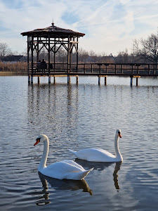 Old Lake — fotografia 3