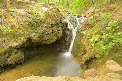 Rózsika spring