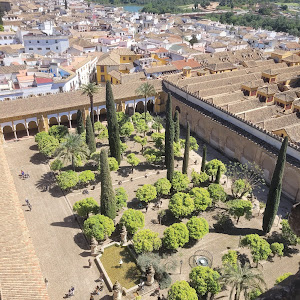 Patio de los Naranjos — fotografia 3