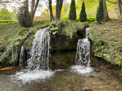 Golija — fotografia 4