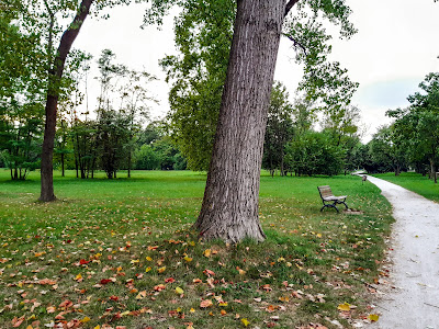 Oasi Verde — fotografia 5