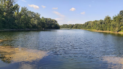 Parcul Național Lunca Dunării — fotografia 3