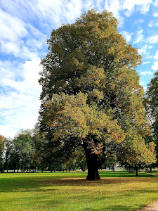Budatínsky Park — fotografia 4