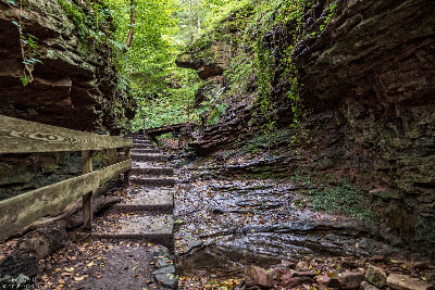 Seltenbachschlucht