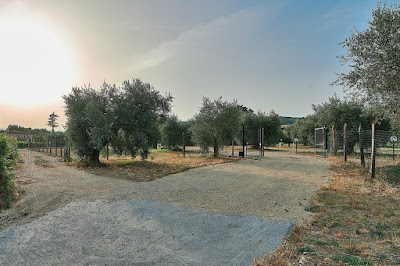 Agrisosta - L'Isola degli Ulivi — fotografia 3