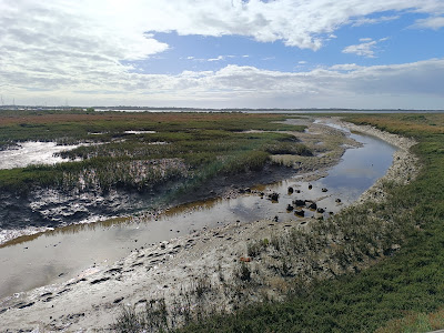 Inicio del Sendero del Río Piedras — fotografia 5