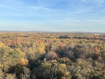 Lake Naplás lookout tower — fotografia 5