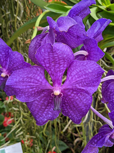 Raffeiner Theme Park — fotografia 4