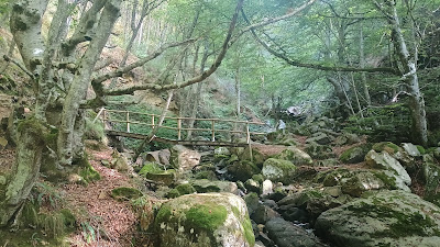 Cascada La Salceda — fotografia 5