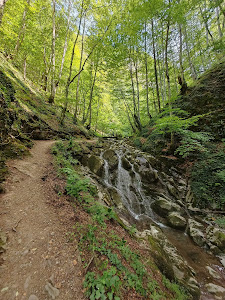 Under the Splashes of the Waterfall - Ecotrail — fotografia 5