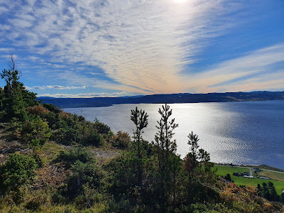 Skardshåmmåren