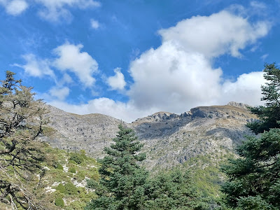Parque Nacional Sierra de las Nieves — fotografia 3