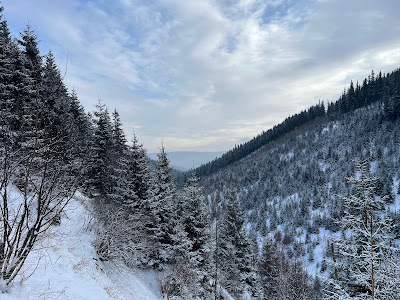 The valley of the White Opava — fotografia 5