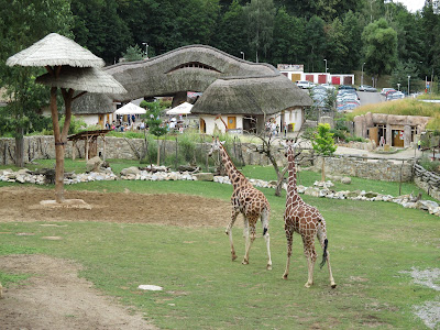 Zoological Garden in Jihlava — fotografia 3