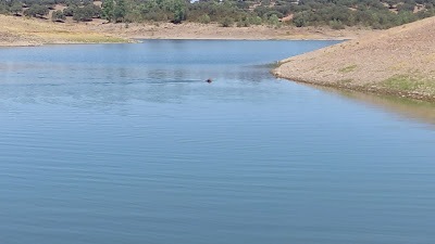 Lagos del serrano — fotografia 3