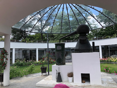 Museum of Roses (Rosarium park) — fotografia 5