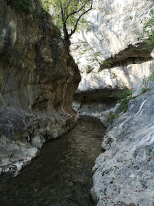Cheile Băniței — fotografia 4