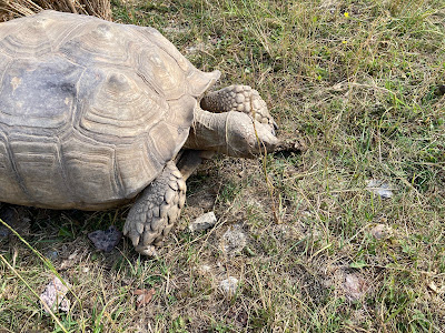 Pangea Park — fotografia 3