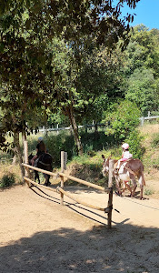RUKIMON - RUCS DEL CORREDOR- Rukimon de Dalt — fotografia 5