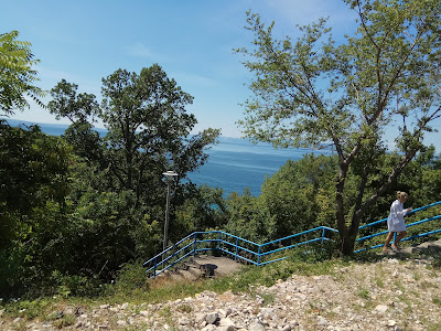Svežanj Beach — fotografia 4