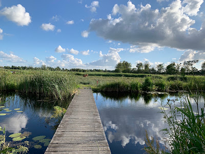 De Alde Feanen National Park — fotografia 4