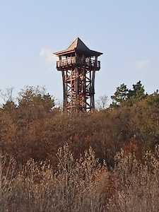 Hármashegy lookout point — fotografia 5