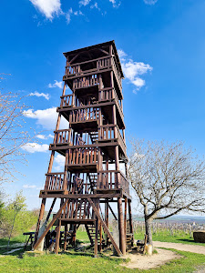 Observation tower Cow Mountain