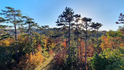 Csillag-hegyi kilátó — fotografia 3