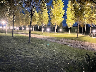 Agricamping Noara Beach adult only — fotografia 3